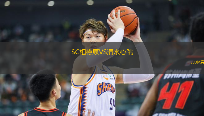SC相模原VS清水心跳